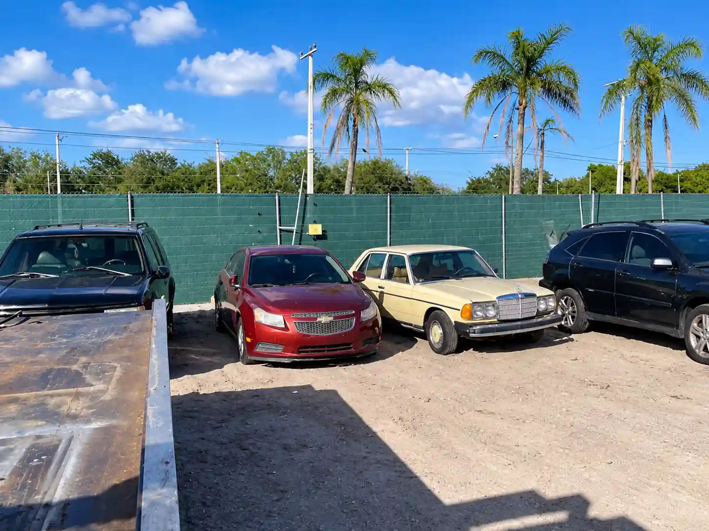 Vehicles parked at a local junkyard with palm trees in the background